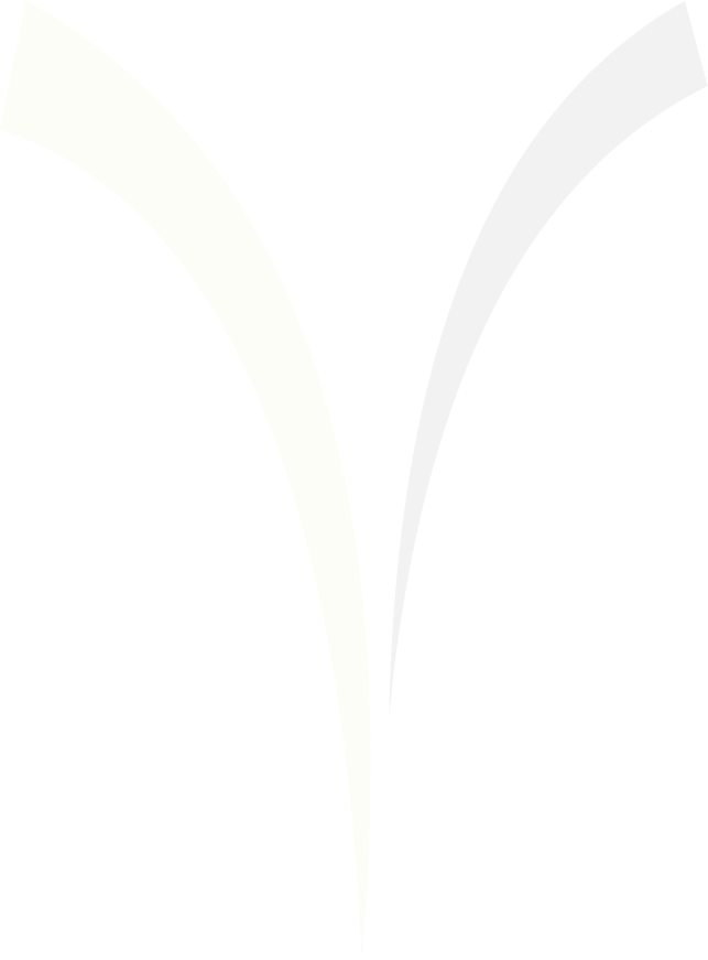 Y Shape Background